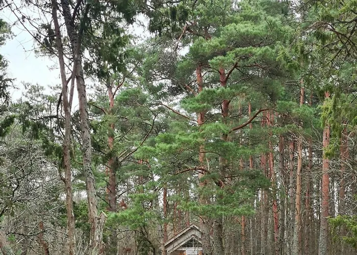 Meremaa Ateljee Salinomme