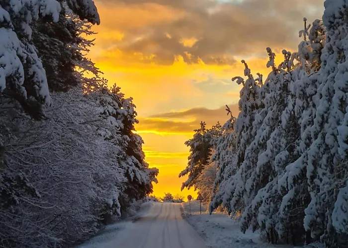 Dom wakacyjny Meremaa Ateljee