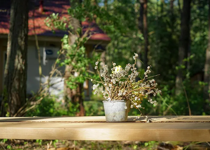 Meremaa Ateljee Dom wakacyjny Salinomme