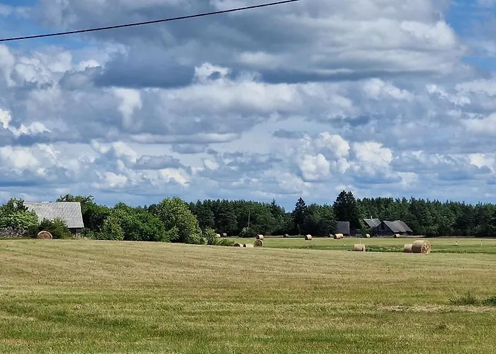 Meremaa Ateljee * Salinomme