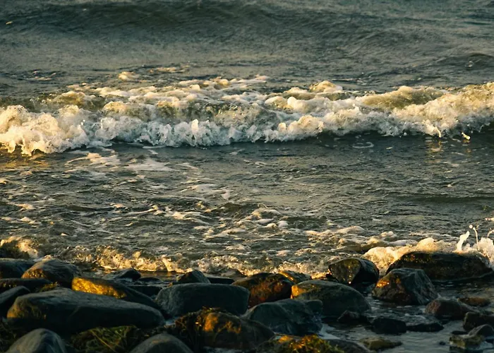 Dom wakacyjny Meremaa Ateljee Salinomme